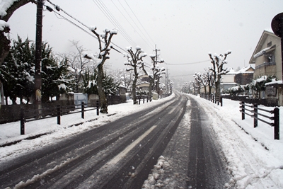 2014雪の奈良　2/14. 15._f0106724_1571440.jpg