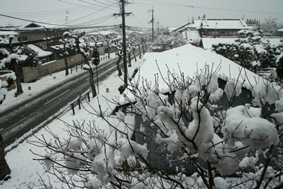 2014雪の奈良　2/14. 15._f0106724_15887.jpg