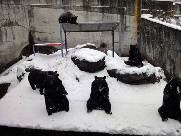 飛騨高山に行ってみた その21_e0192725_9394865.jpg