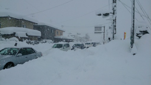 記録的な大雪。。。_d0168027_18363083.jpg