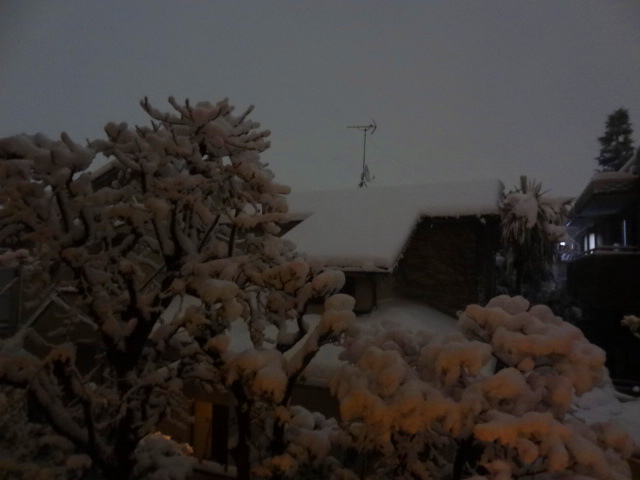 雪の結晶の終わりを犬は気にもとめない 松家仁之「沈むフランシス」 _e0016828_12431290.jpg