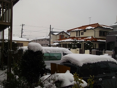 また雪が降りました...大雪です。_b0137932_9524919.jpg