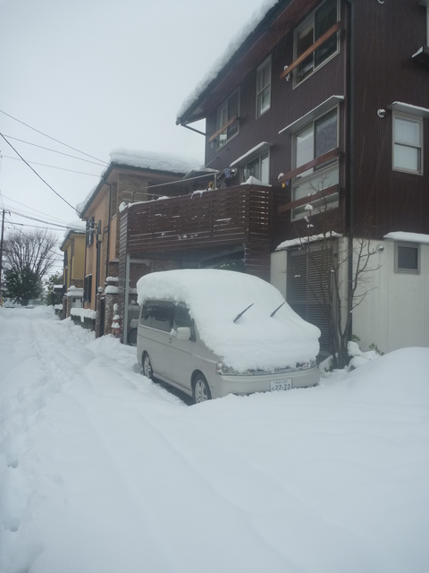 大雪です。_f0066533_825271.jpg