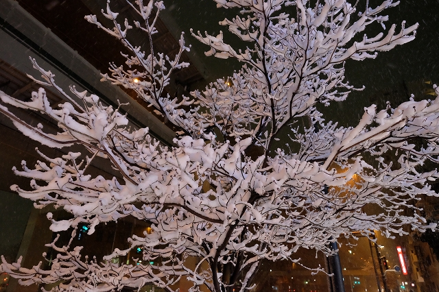 ここはどこ？大雪東京by X-T1 ISO6400の世界_f0050534_23261881.jpg