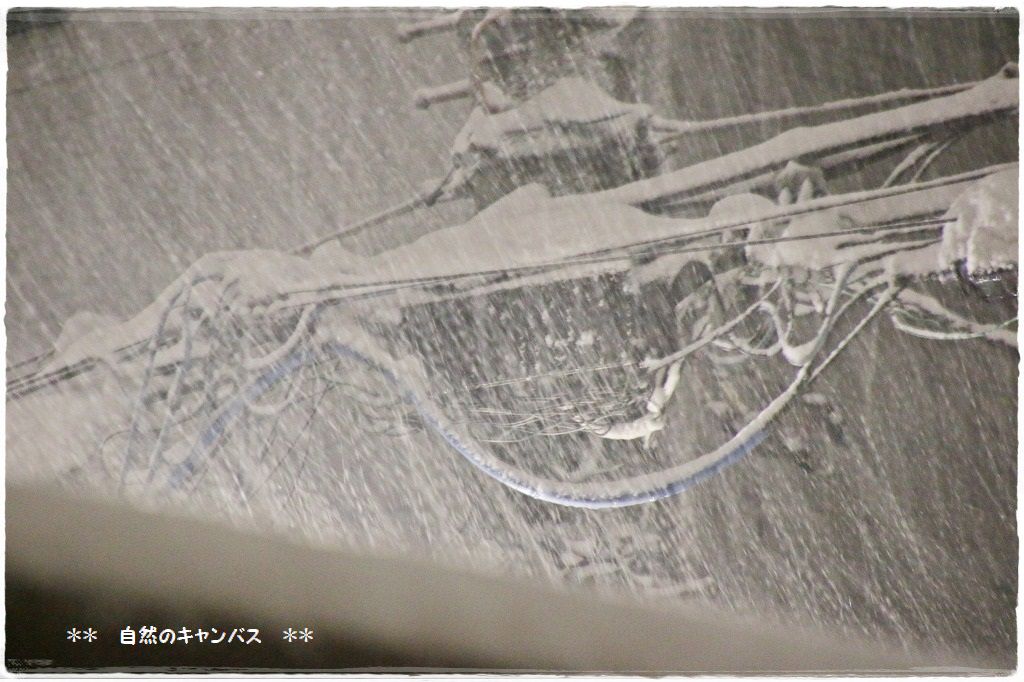 e0052135_14242274.jpg