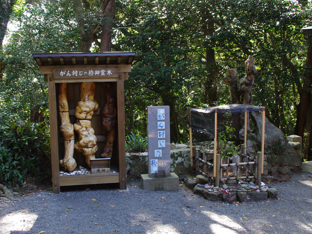 お遍路３回目　二日目　24番最御崎寺～26番金剛頂寺_f0008935_23353949.jpg