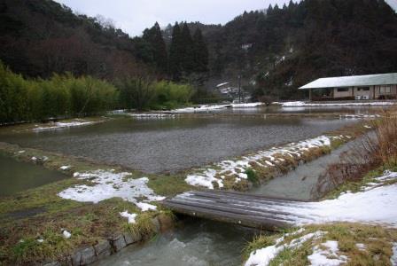 大雪のち大雨、そしてセンターでは・・_a0123836_1139147.jpg