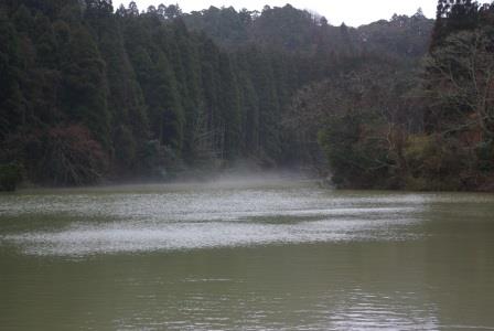 a0123836_1139666.jpg