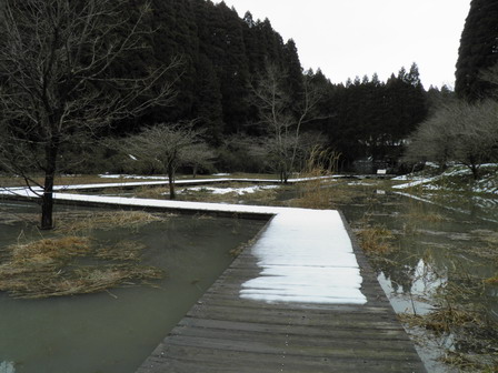 大雪のち大雨、そしてセンターでは・・_a0123836_174121.jpg