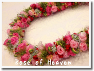 Rose of Heaven~ ローズ　オブ　ヘブン~_a0219536_23251890.png