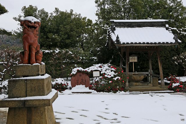 a0242438_19272745.jpg