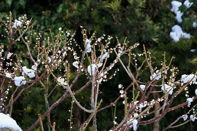 a0242438_1927976.jpg