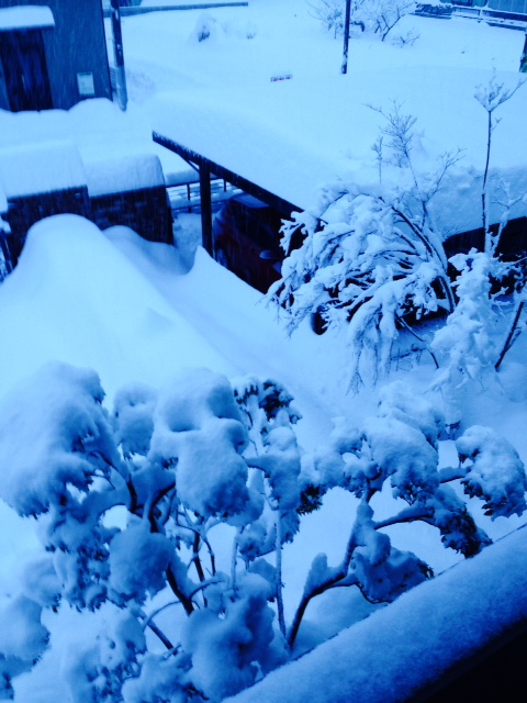 a0116439_12505058.jpg
