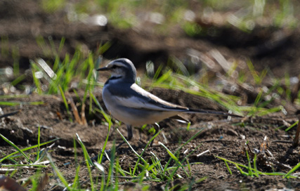 f0206939_21589.jpg