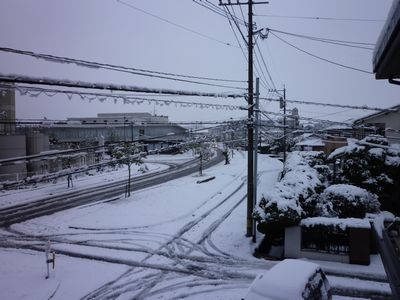 雪国みたいよぉ～!?_c0211540_11361211.jpg