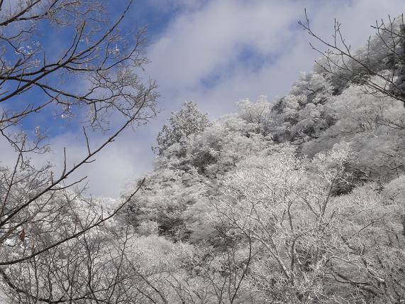 雪と格闘・・・英彦山探索_e0164643_2323899.jpg