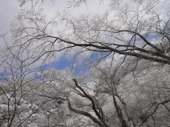 雪と格闘・・・英彦山探索_e0164643_233243.jpg