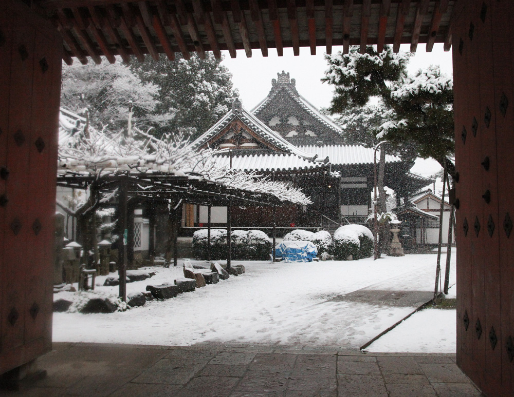 大阪　藤井寺市　葛井寺（ふじいでら）　降雪_c0108146_2232494.jpg