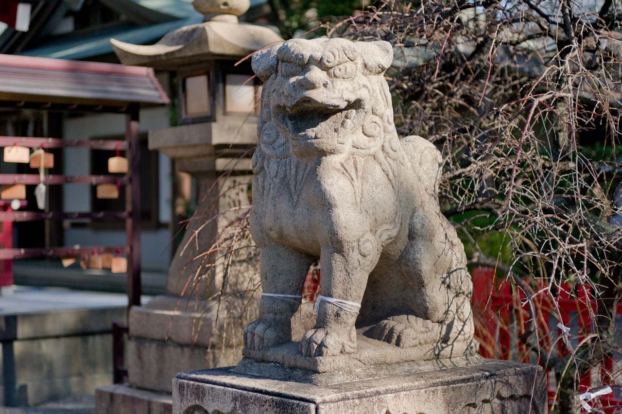 開口神社　大阪府堺市_b0023047_03585904.jpg