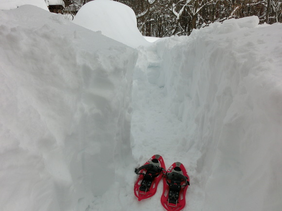 大雪です!_f0019247_13235843.jpg