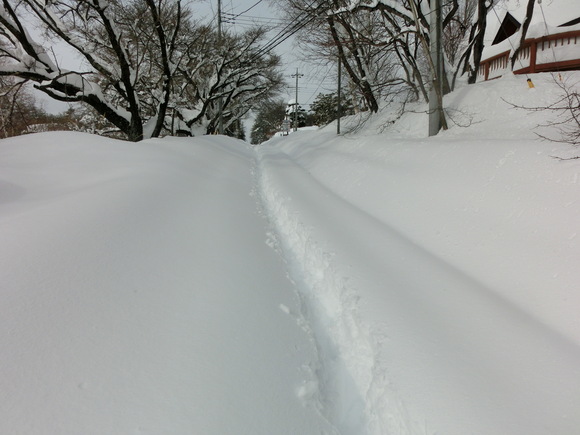 大雪です!_f0019247_13302073.jpg