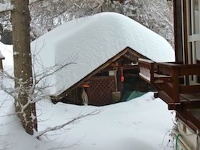 記録的な大雪！_f0199847_12271237.jpg