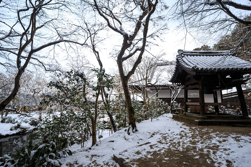 【額縁光景・その７】圓光寺・銀世界_f0155048_12121338.jpg