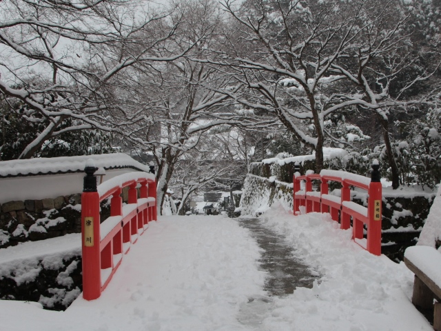 雪の宝泉院_e0017051_9123035.jpg