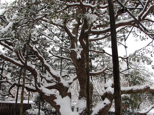 e0017051_9131726.jpg