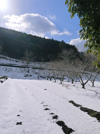 大雪から一夜明け、陸の孤島を楽しんでます!!_a0254656_20565888.jpg