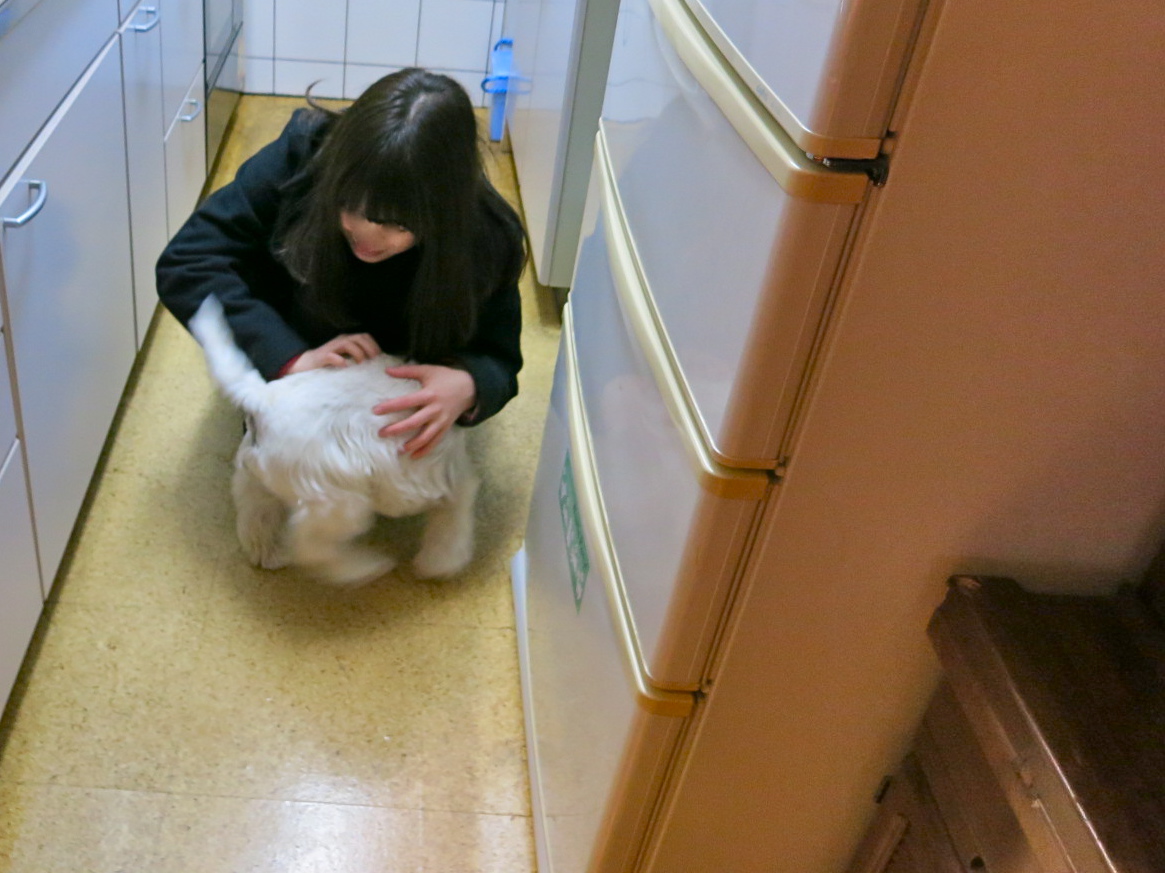 おかえり! おかえり! おかえり!_c0260460_527422.jpg