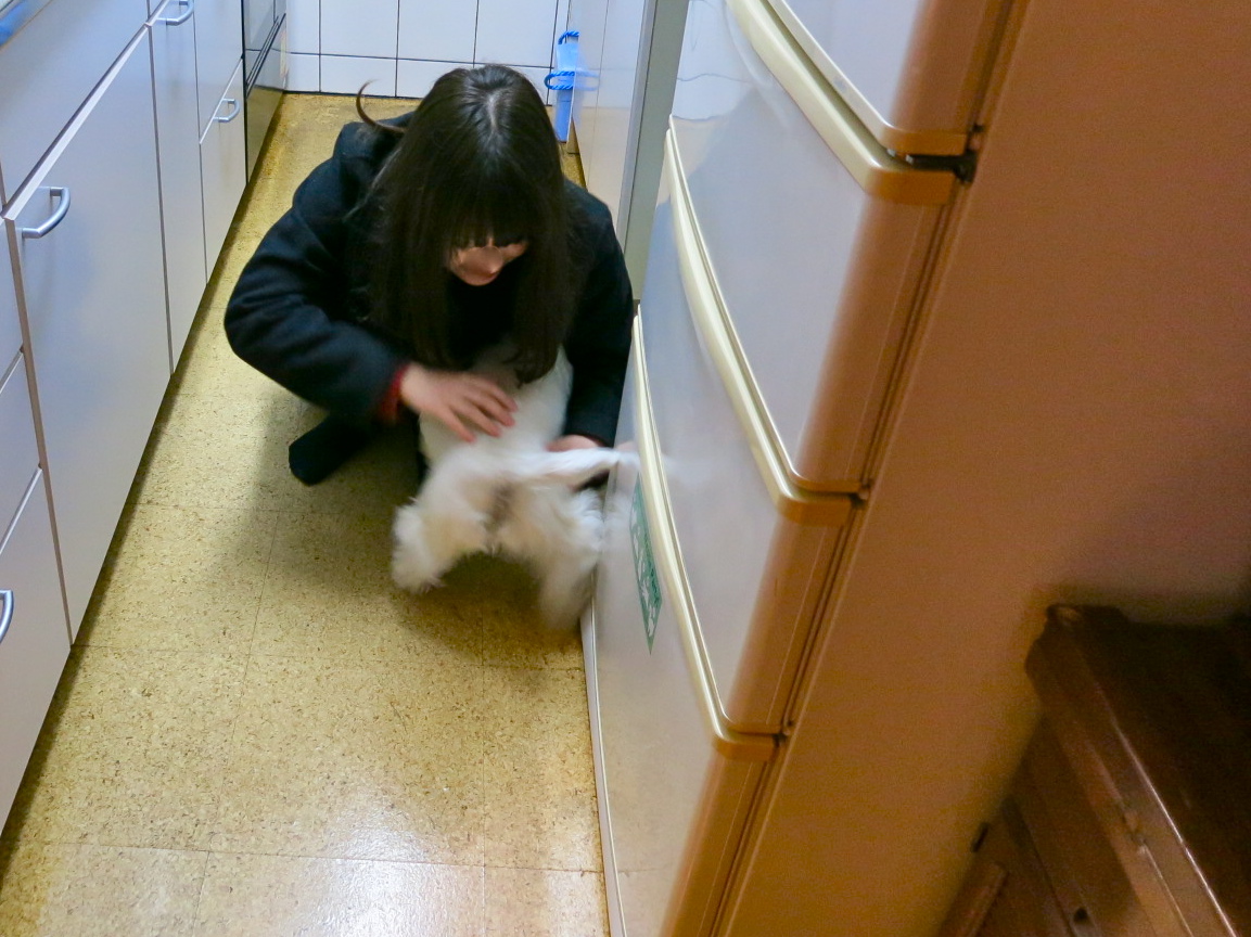 おかえり! おかえり! おかえり!_c0260460_5275517.jpg