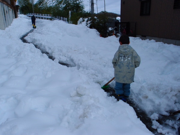 記録的大雪記録更新_c0122670_1746467.jpg