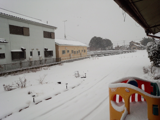 大雪!!!!_e0040673_12122332.jpg