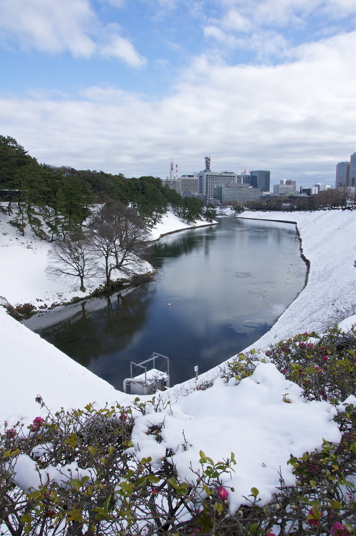 続々　中野フジヤカメラ_c0226280_2011721.jpg