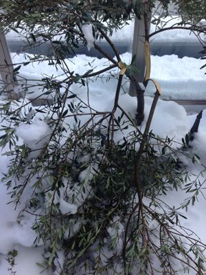 家から、なかなか出る気になれません。_d0266681_11185991.jpg