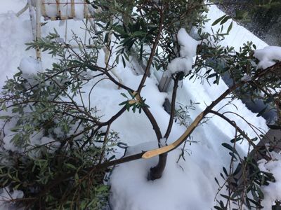 家から、なかなか出る気になれません。_d0266681_11191416.jpg