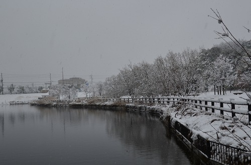 c0229483_1311393.jpg