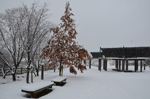 c0229483_13141754.jpg