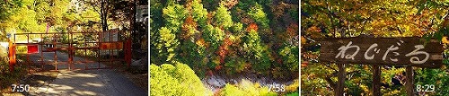 c0324983_12440785.jpg