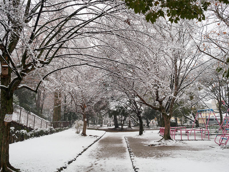 京都で今年3度目の大雪は・・・_f0224083_15183295.jpg