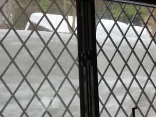 2014年2月15日 話題は雪ばかりだが_b0098584_14111453.jpg