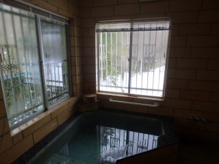 2014年2月15日 話題は雪ばかりだが_b0098584_1411324.jpg