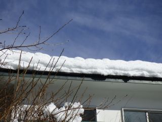 2014年2月15日 話題は雪ばかりだが_b0098584_14123829.jpg