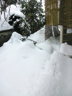 大雪の為、臨時休業致します。_d0160684_07182697.jpg