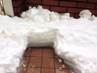 今年はどうした！？また大雪警報_f0067385_14483594.jpg