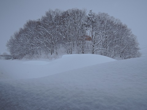 小淵沢の工場より(T_T)_a0211886_2203527.jpg