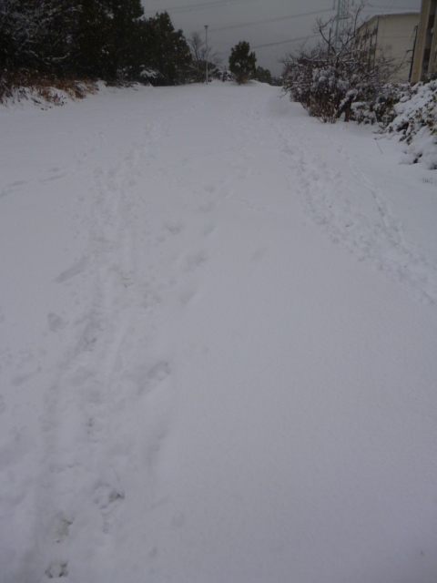 雪の進軍「高台の角打ち」、無念ナリ閉まったまま。しまった！_c0061686_1247516.jpg