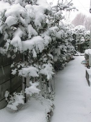 e0222588_15452394.jpg