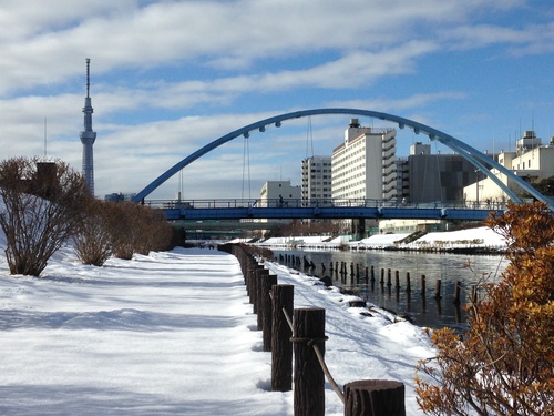 2月15日(土) 講習会 中止のお知らせ_c0222190_222186.jpg